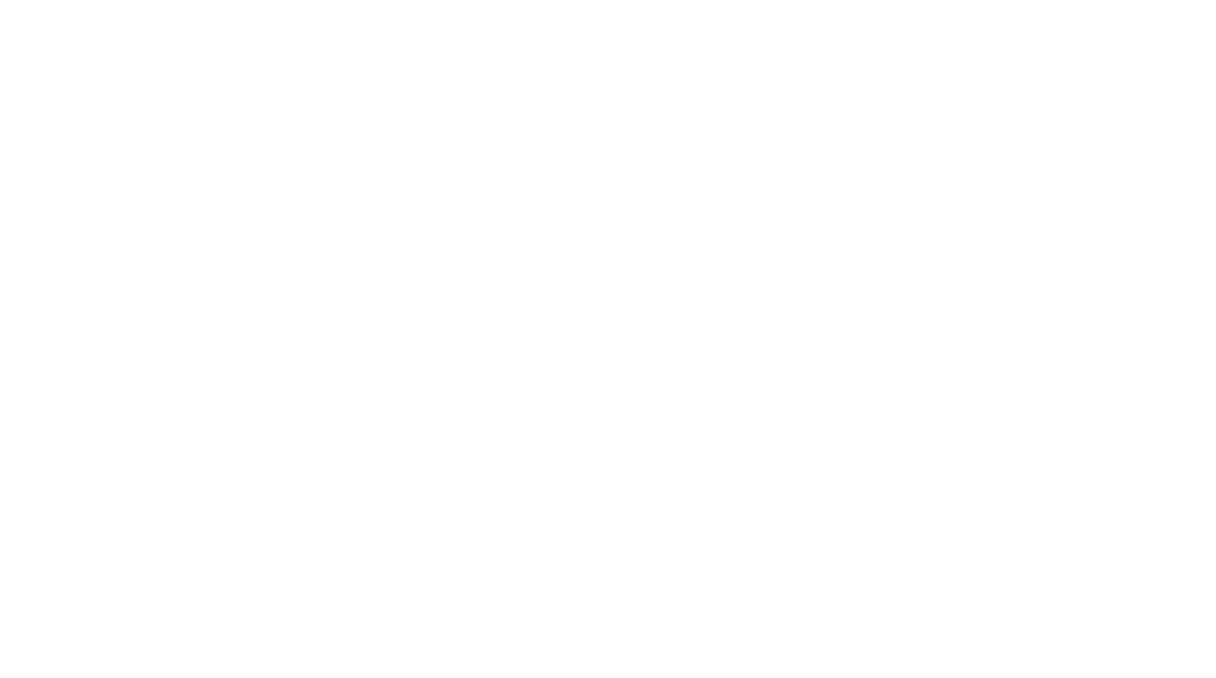 NADI HR System